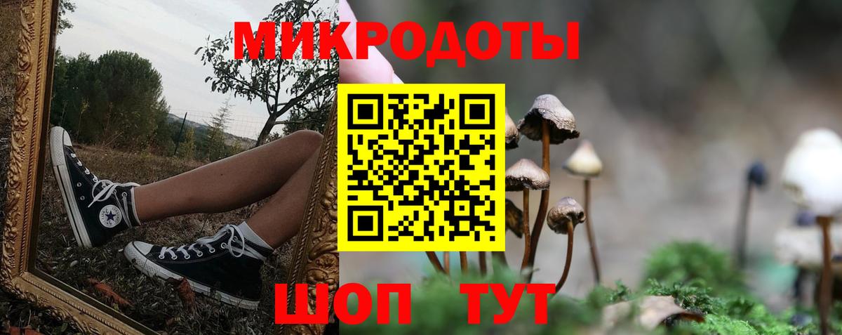 Галлюциногенные грибы ЛСД Камень-на-Оби